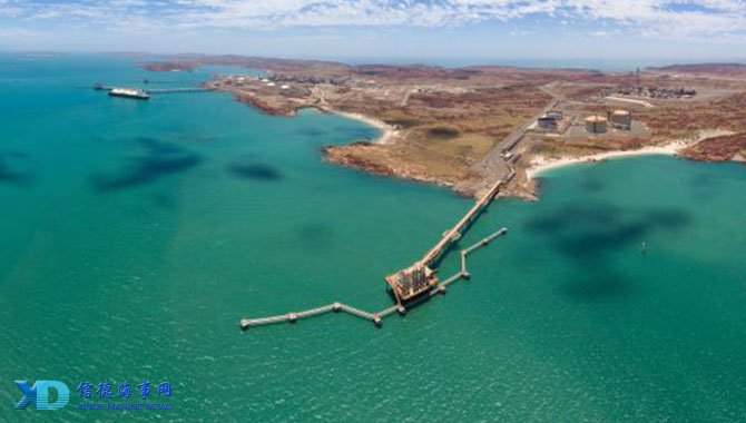 哈曼：如果拜仁在对阵大巴黎时获胜，我一点也不会感到意外（哈曼：拜仁若击败大巴黎，我丝毫不惊讶）